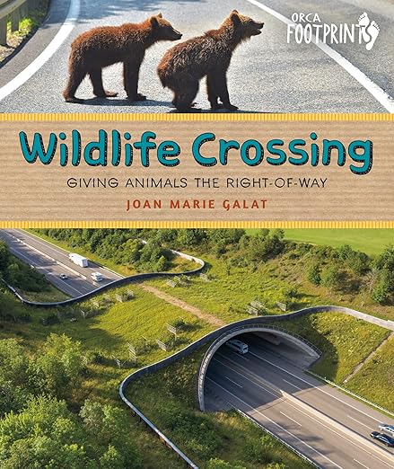 Wildlife Crossing: Giving Animals the Right-of-Way